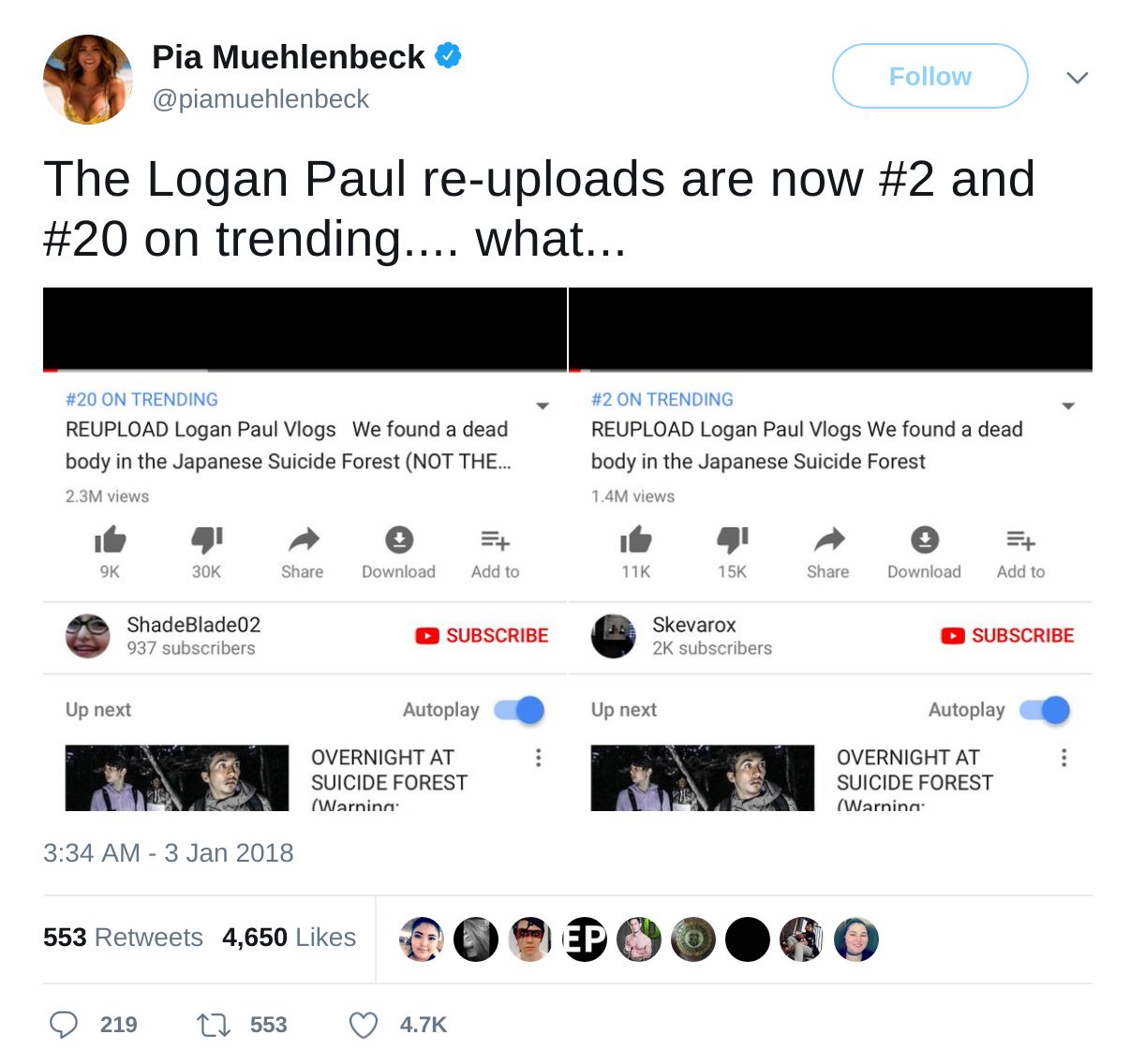 logan paul tweet